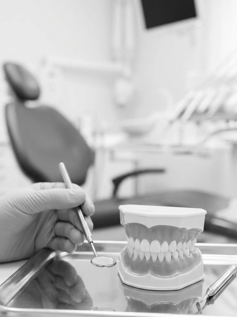 Cosmetic dentistry model showing a healthy smile